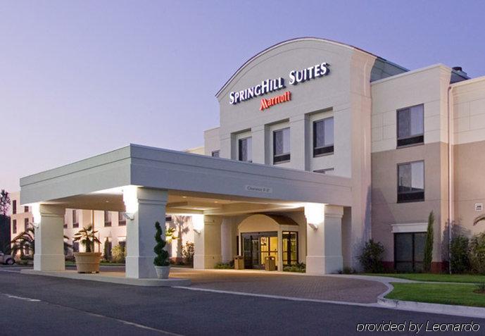 Springhill Suites By Marriott Bellingham Extérieur photo